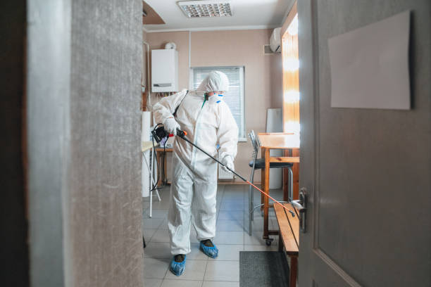 Best Emergency Mold Remediation  in Wilmington Manor, DE