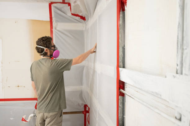 Best Commercial Mold Inspection  in Wilmington Manor, DE